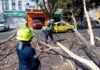 Autoridades retiran árbol a punto de caer en Avenida Zaragoza